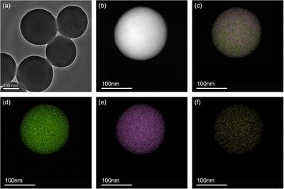 BSA-Stabilized Mesoporous Organosilica Nanoparticles Reversed Chemotherapy Resistance of Anaplastic Thyroid Cancer by Increasing Drug Uptake and Reducing Cellular Efflux